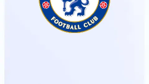 《国米瞄准帕尔马中场新星贝尔纳韦，或成恰20关键替补人选！》